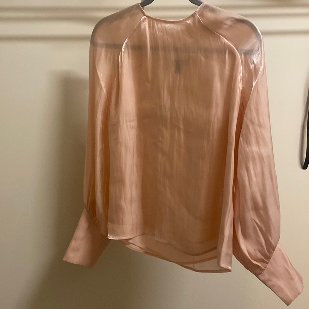 Dressy Balloon Sleeve Blouse